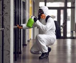  Spring City, PA Mold Removal Pros